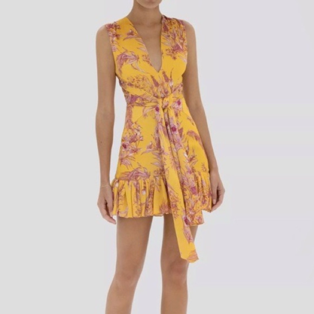 ALEXIS Dress Cassara only wore once size M
